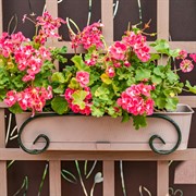 Подставка балконная для цветов длина 53см металлическая 51-031 - фото 64934