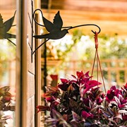 Кронштейн настенный Голубь для цветочного горшка длина 30см металл 201-006B - фото 65090