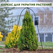 Каркас для укрытия садовых растений на зиму 57-124 - фото 65129 Каркас для укрытия садовых растений на зиму 57-124 - фото 65129
