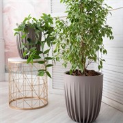 Горшок Сигма 18л фраппе с вкладкой - фото 65170