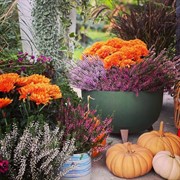 Кашпо РОМА ЭКО на ножках 21л 40х25 зелёный - фото 65259 Кашпо РОМА ЭКО на ножках 21л 40х25 зелёный - фото 65259