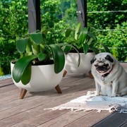 Кашпо РОМА ЭКО на ножках 5,1л 24х19 белый - фото 65260