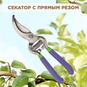 Секатор Палисад легированная сталь 200мм - фото 65277