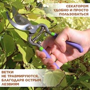 Секатор Палисад легированная сталь 200мм - фото 65278