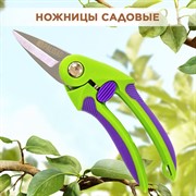 Секатор Палисад цветочный 220мм двухкомпонентные рукоятки - фото 65281