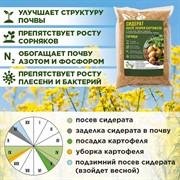 Сидерат Горчица белая 1кг - фото 65294