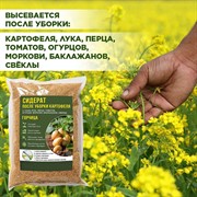 Сидерат Горчица белая 1кг - фото 65295