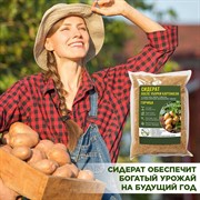 Сидерат Горчица белая 1кг - фото 65296