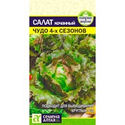 Салат Чудо 4 сезонов 0,5гр - фото 65298