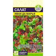 Салат Иван да Марья 0,5гр - фото 65312 Салат Иван да Марья 0,5гр - фото 65312
