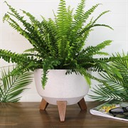 Кашпо РОМА ЭКО на ножках 5,1л 24х19 белый - фото 65316