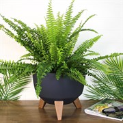 Кашпо РОМА на ножках 5,1л 24х19 антрацит - фото 65319