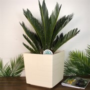 Горшок Квадро 13л ванильный с вкладкой - фото 65327