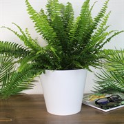 Горшок Лондон 19см 3,3л белый - фото 65338