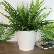 Горшок Лондон 19см 3,3л сливочный - фото 65341