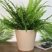 Горшок Лондон 19см 3,3л молочный шоколад - фото 65345