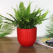 Горшок Альфа 1,4л красный с вкладышем - фото 65350