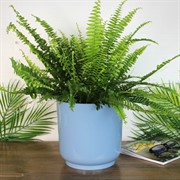 Горшок Дельта 19х19 4,4л ментол с вкладкой - фото 65359