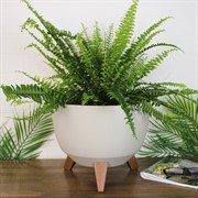 Кашпо РОМА на ножках 9,3л 29х23 хлопок - фото 65368