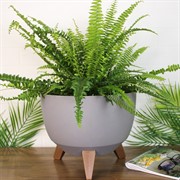 Кашпо РОМА ЭКО на ножках 9,3л 29х23 серый - фото 65371