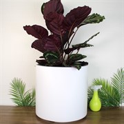 Кашпо ГЕОС 44/20л d39 h38см белый - фото 65382