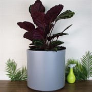 Кашпо ГЕОС 44/20л d39 h38см светло-серый - фото 65385