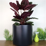 Кашпо ГЕОС 44/20л d39 h38см антрацит - фото 65388