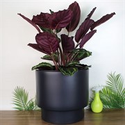 Кашпо ГЕОС 20/40л d39,5см h37см антрацит - фото 65395