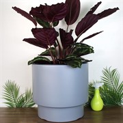 Кашпо ГЕОС 20/40л d39,5см h37см светло-серый - фото 65409