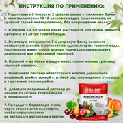 Бордоская смесь Инта-Вир 200г для защиты от болезней - фото 65513 Бордоская смесь Инта-Вир 200г для защиты от болезней - фото 65513