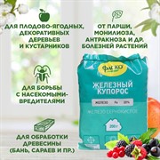 Железный купорос 200г для профилактики и лечения болезней - фото 65516 Железный купорос 200г для профилактики и лечения болезней - фото 65516