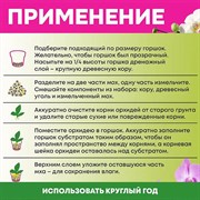 Субстрат для орхидей: кора лиственницы, мох сфагнум, уголь древесный, БиоМастер 2л + удобрение 5мл - фото 65532