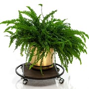 Подставка напольная на колесах ДПК 40 см 12-092 - фото 65572