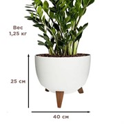 Кашпо РОМА на ножках 21л 40х25 белый - фото 65582 Кашпо РОМА на ножках 21л 40х25 белый - фото 65582