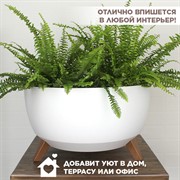 Кашпо РОМА на ножках 31,5л 47х26,5 белый - фото 65589