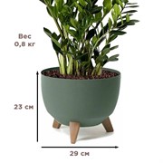 Кашпо РОМА ЭКО на ножках 9,3л 29х23 зеленый - фото 65592 Кашпо РОМА ЭКО на ножках 9,3л 29х23 зеленый - фото 65592