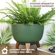 Кашпо РОМА ЭКО на ножках 9,3л 29х23 зеленый - фото 65594 Кашпо РОМА ЭКО на ножках 9,3л 29х23 зеленый - фото 65594