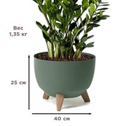 Кашпо РОМА ЭКО на ножках 21л 40х25 зелёный - фото 65597 Кашпо РОМА ЭКО на ножках 21л 40х25 зелёный - фото 65597