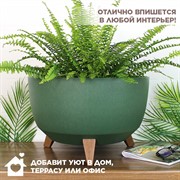 Кашпо РОМА ЭКО на ножках 21л 40х25 зелёный - фото 65599 Кашпо РОМА ЭКО на ножках 21л 40х25 зелёный - фото 65599