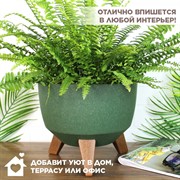 Кашпо РОМА ЭКО на ножках 5,1л 24х19 зелёный - фото 65609