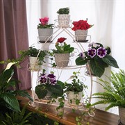 Подставка для цветов на подоконник на 8 цветов бело-золотая кованая 14-918-WG - фото 65808