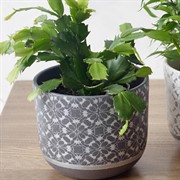 Горшок Гипюр 2,1л серый бук №3 - фото 66020