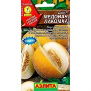 Дыня Медовая лакомка - фото 66050