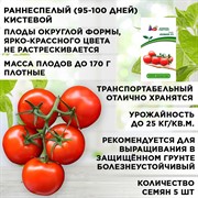 Семена Томат Ахмар F1 5шт Агрофирма Партнер - фото 66218