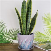 Горшок Живопись 1,4л сиреневый крокус №2 - фото 66237