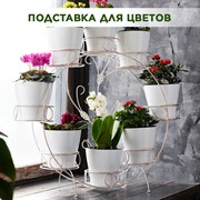 Подставка на подоконник на 8 цветов бело-золотая металл 14-908WG - фото 66251