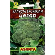 Капуста брокколи Цезар Лидер - фото 66613