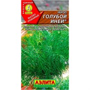 Укроп Голубой иней - фото 66625 Укроп Голубой иней - фото 66625