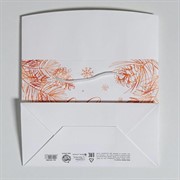 Пакет коробка С Новым годом 23х18х11см - фото 66902