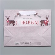 Пакет крафт Сказка 23х18х10см - фото 66913